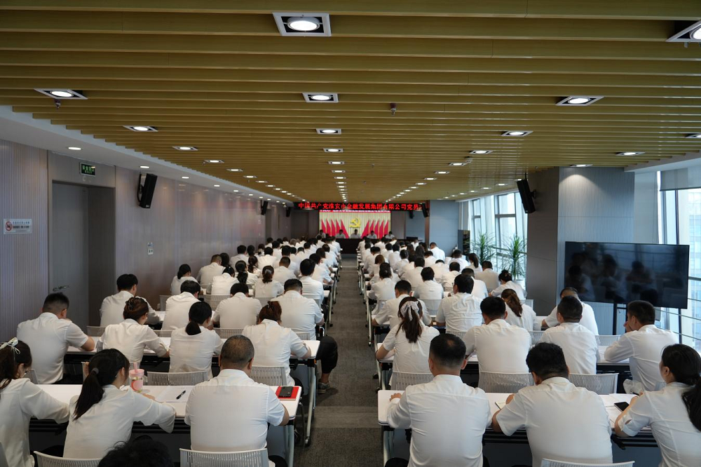 市金发集团党委圆满完成换届选举工作